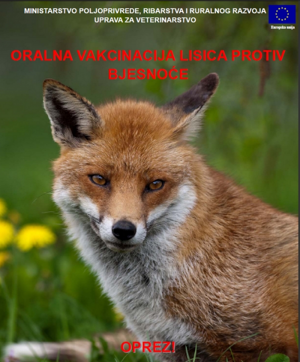 Jesenska akcija oralne vakcinacije lisica