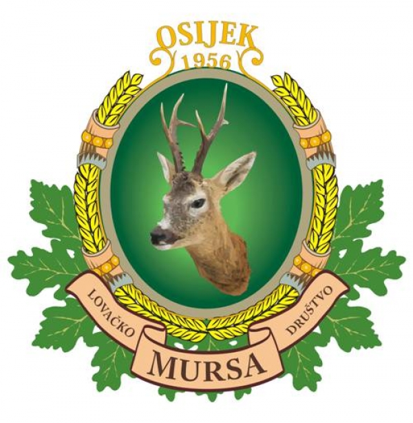 Osijek:   60  godina LD „Mursa“ Osijek