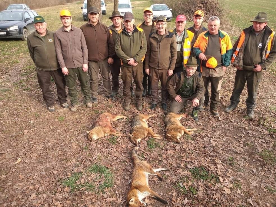 Oprisavci: održan lov na lisicu i čaglja
